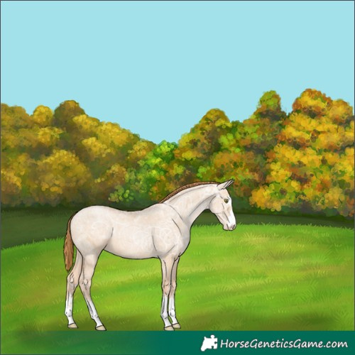 Horse Color:Red Dun Ice Pearl 