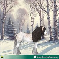 Horse Color:Bay Ice Dun Splash 