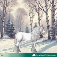 Horse Color:Silver Bay Ice Dun Tobiano Frame 