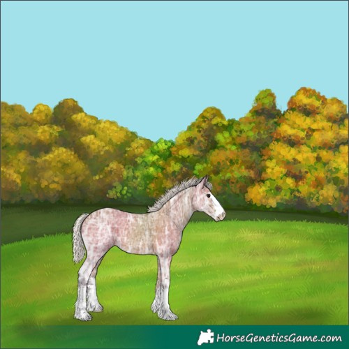 Horse Color:Silver Bay Ice 