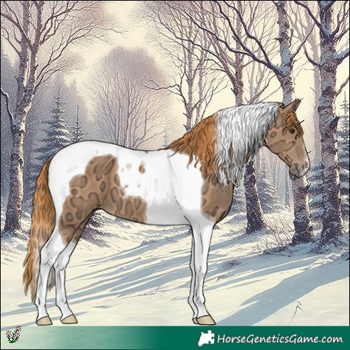 Horse Color:Chestnut Ice Tobiano