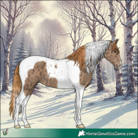 Horse Color:Chestnut Ice Tobiano 