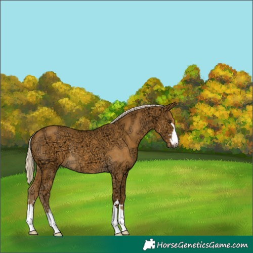 Horse Color:Palomino Ice 