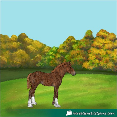 Horse Color:Chestnut Ice 