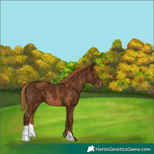 Horse Color:Chestnut Ice 
