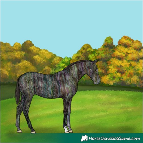 Horse Color:Bay Ice Dun 