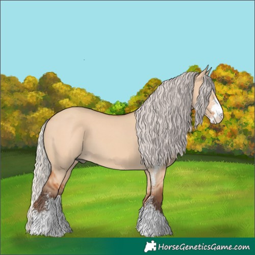 Horse Color:Silver Bay Dun Sabino 