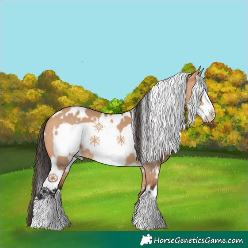 Horse Color:White Spotted Bay Dun Frame 