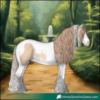 Horse Color:Red Dun Splash Tobiano Rabicano