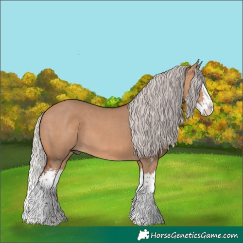 Horse Color:Silver Bay Dun Sabino Splash 