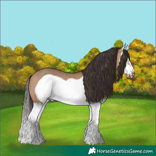 Horse Color:White Spotted Bay Dun Splash Frame Rabicano 