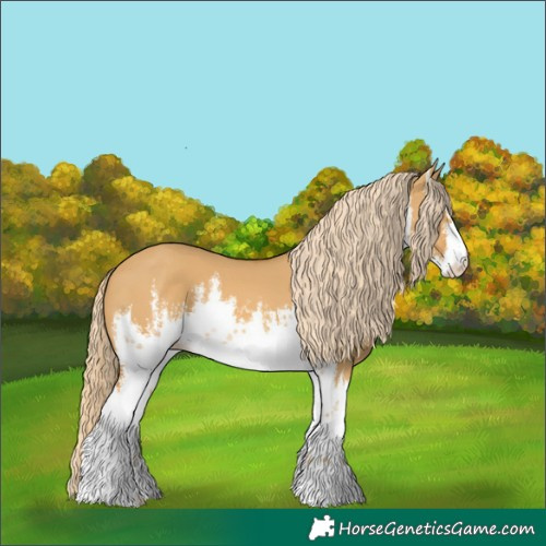 Horse Color:White Spotted Palomino Dun 