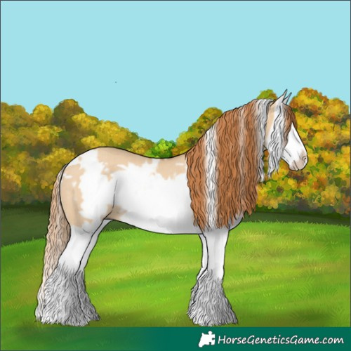 Horse Color:White Spotted Red Dun Splash Frame Rabicano 