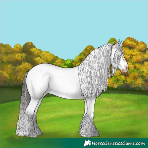 Horse Color:Bay Roan Dun Splash Tobiano Frame 