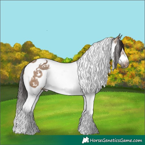 Horse Color:Brown Dun Splash Tobiano Frame Rabicano 