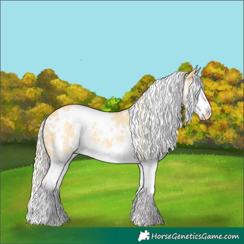 Horse Color:White Spotted Palomino Dun Sabino Splash Rabicano 