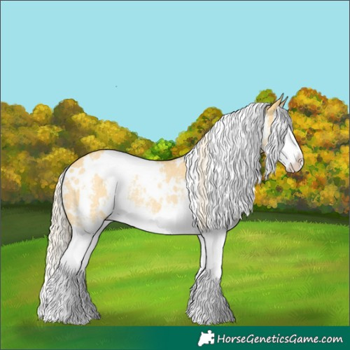 Horse Color:White Spotted Palomino Dun Sabino Splash Rabicano 
