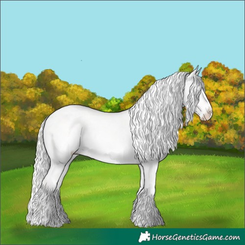 Horse Color:White Spotted Cremello Dun Sabino Rabicano 