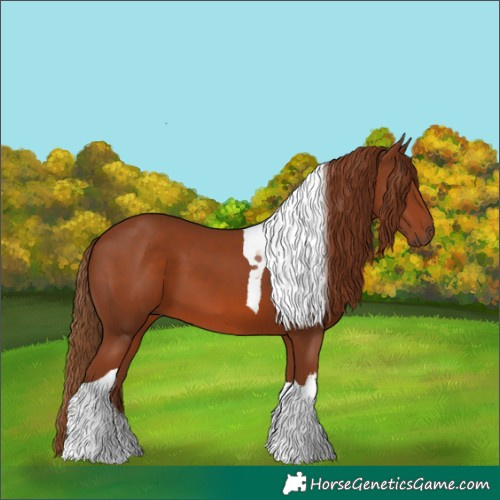 Horse Color:White Spotted Chestnut Tobiano 