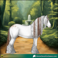 Horse Color:White Spotted Red Dun Appaloosa 