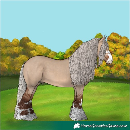 Horse Color:Silver Brown Dun 