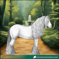 Horse Color:Grullo Sabino Splash Rabicano