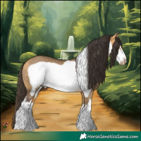 Horse Color:White Spotted Buckskin Dun Frame Rabicano 