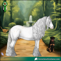 Horse Color:Palomino Dun Tobiano Appaloosa Rabicano 