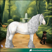 Horse Color:Palomino Dun Tobiano Appaloosa Rabicano 