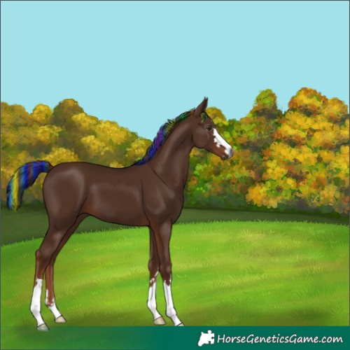 Horse Color:Gray Painted Chestnut 