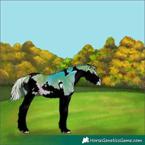 Horse Color:Watercolor Silver Smoky Black Splash Tobiano 