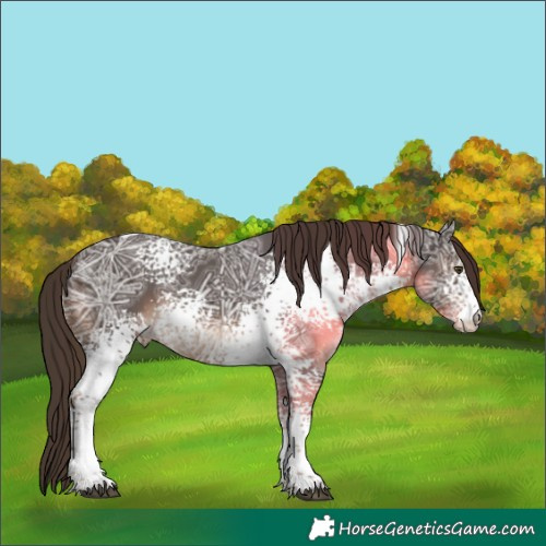 Horse Color:White Spotted Liver Chestnut Ice Tobiano 