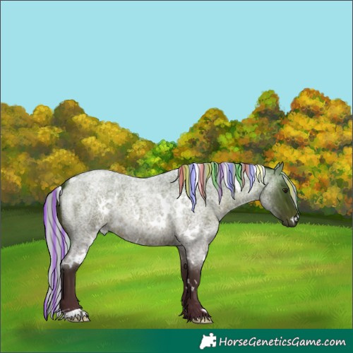 Horse Color:Painted White Spotted Silver Brown Roan 