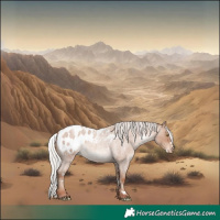 Horse Color:White Spotted Silver Sable Champagne Roan Blanket 