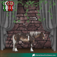 Horse Color:White Spotted Silver Brown Tobiano 
