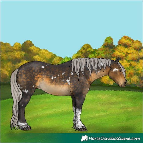 Horse Color:White Spotted Silver Buckskin Tobiano 