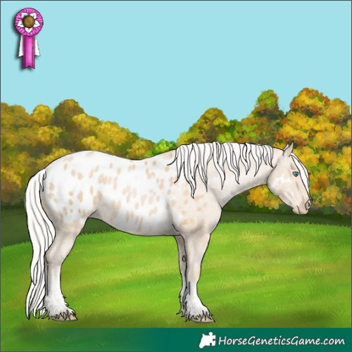 Horse Color:White Spotted Silver Buckskin Pearl Mushroom Tobiano Blanket 