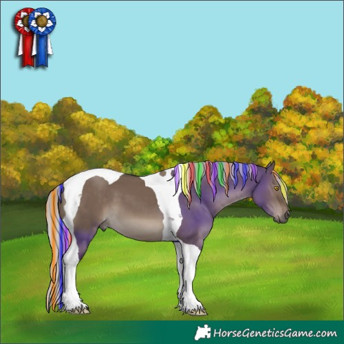 Horse Color:Painted Silver Grullo Tobiano 