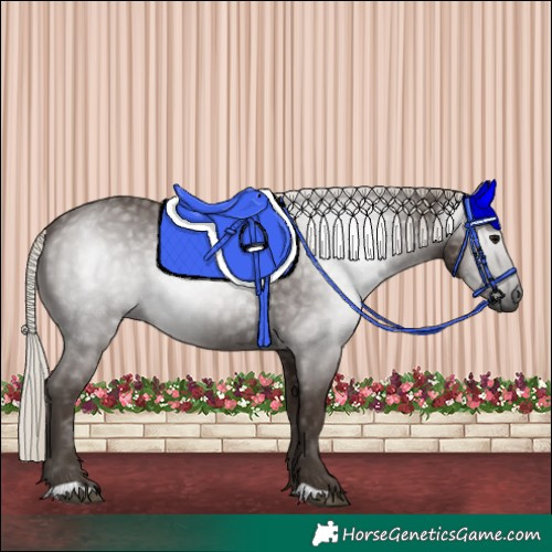 Horse Color:Gray Silver Black 