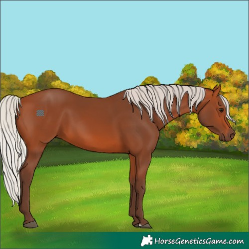 Horse Color:Silver Bay
