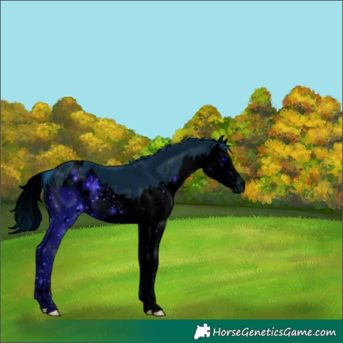 Horse Color:ERROR: UNKNOWN ANOMALY