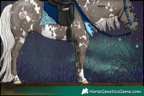 Horse Color:White Spotted Silver Black 