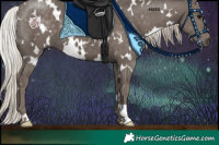 Horse Color:White Spotted Silver Black 