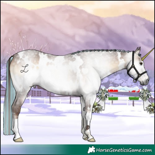 Horse Color:Gray Painted White Spotted Red Onyx Roan 