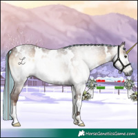 Horse Color:Gray Painted White Spotted Red Onyx Roan