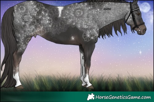 Horse Color:Platinum Liver Chestnut Tobiano Rabicano