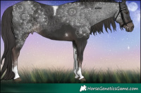 Horse Color:Platinum Liver Chestnut Tobiano Rabicano
