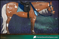 Horse Color:White Spotted Silver Bay 