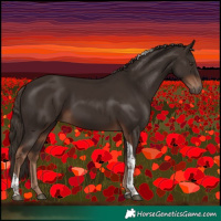 Horse Color:Liver Chestnut Tobiano 