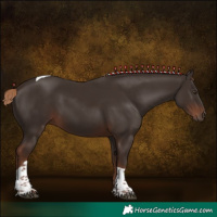 Horse Color:Liver Chestnut Tobiano